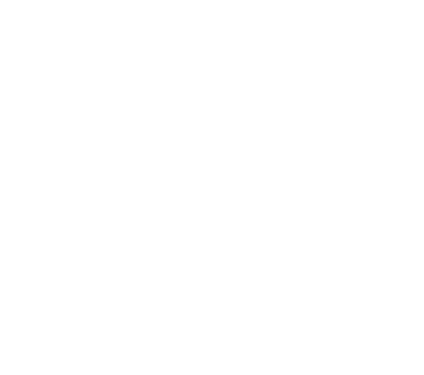 Five Star logo